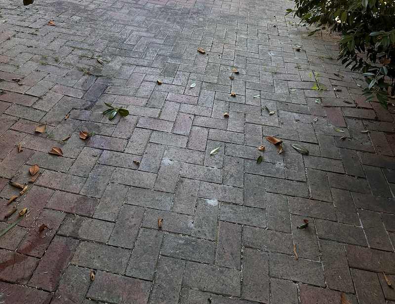Mouldy Bayside Pavers Before Cleaning